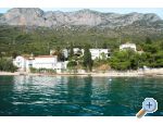 Apartmaji Mimoza - Gradac  Podaca Hrvaka