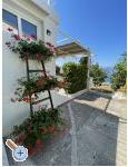 Apartmaji Mimoza - Gradac  Podaca Hrvaka