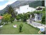 Apartmaji Mimoza - Gradac  Podaca Hrvaka