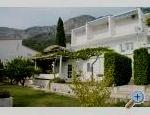 Apartmaji Mimoza - Gradac  Podaca Hrvaka