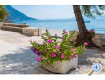 Apartmaji Mira - Gradac  Podaca Hrvaka