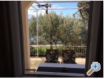 Appartements NIKOLA - Gradac  Podaca Kroatien