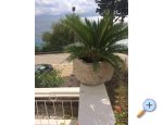 Apartmaji NIKOLA - Gradac  Podaca Hrvaka