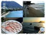 Apartmaji arko - Gradac  Podaca Hrvaka