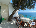 Apartmaji Ante - Gradac  Podaca Hrvaka