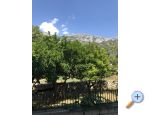 Apartmaji Franko-Roko - Gradac  Podaca Hrvaka