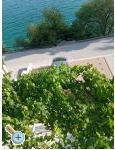 Apartmaji Lela Brist - Gradac  Podaca Hrvaka