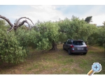 Appartement P&amp;M - Gradac  Podaca Kroatien