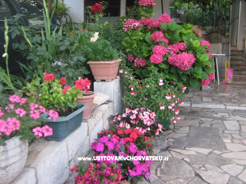 Appartement Visko – Ferienwohnung Gradac – Podaca, Kroatien – Foto 4