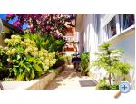 Apartmaji Jerkovi Gradac - Gradac  Podaca Hrvaka