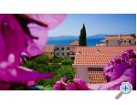 Apartmaji Jerkovi Gradac - Gradac  Podaca Hrvaka