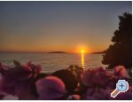RADELI apartmani i sobe - Gradac  Podaca Hrvaka