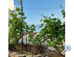 Beach Hia Buinac - Gradac  Podaca Hrvaka