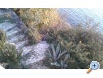Dijana Beach Hia - Gradac  Podaca Hrvaka