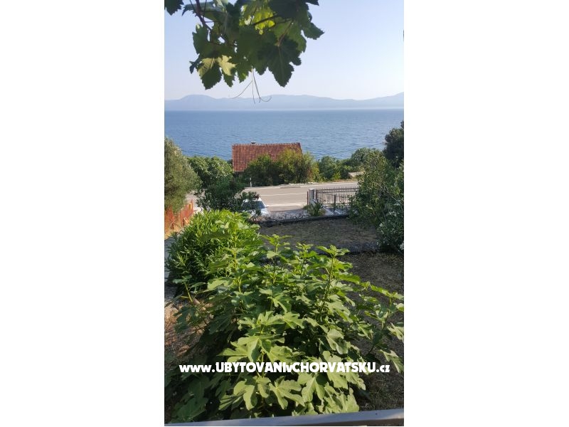 Kuća Maslina – Ferienwohnung Gradac – Podaca, Kroatien – Foto 1