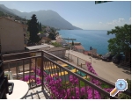 Haus Mioi Appartements - Gradac  Podaca Kroatien
