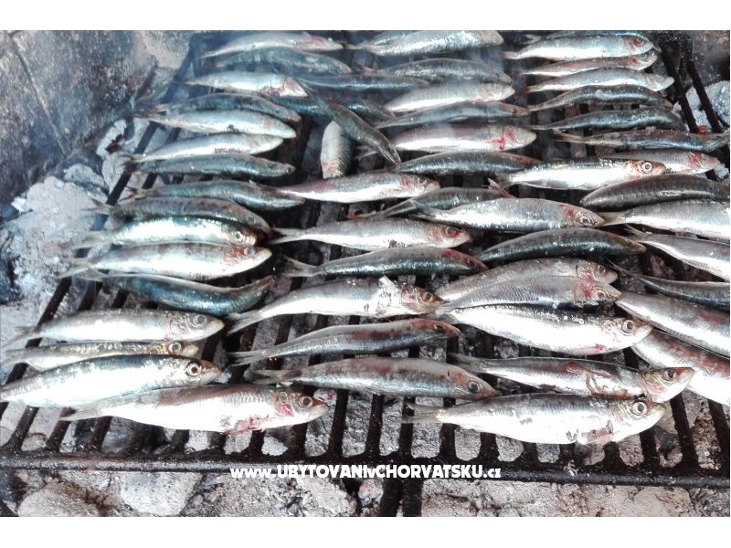 Vila Jadran – Ferienwohnung Gradac – Podaca, Kroatien – Foto 9