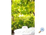Vila Joko - Gradac  Podaca Hrvaka