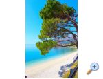 Villa Goldfield - Gradac  Podaca Hrvaka