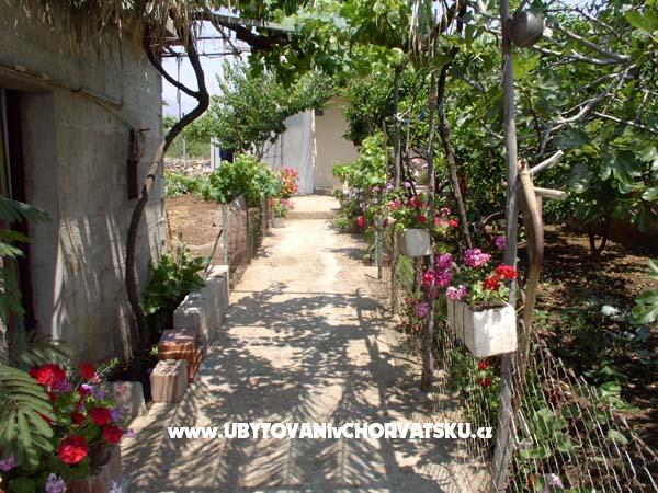 Apartmán Antea – ubytování ostrov Hvar, Chorvatsko – foto 3