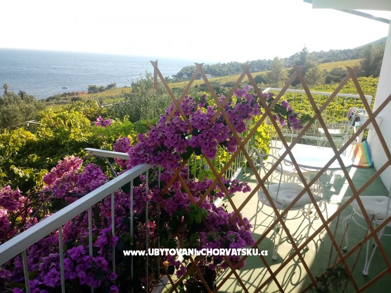 ART AND NATURE  – Ferienwohnung Insel Hvar, Kroatien – Foto 1