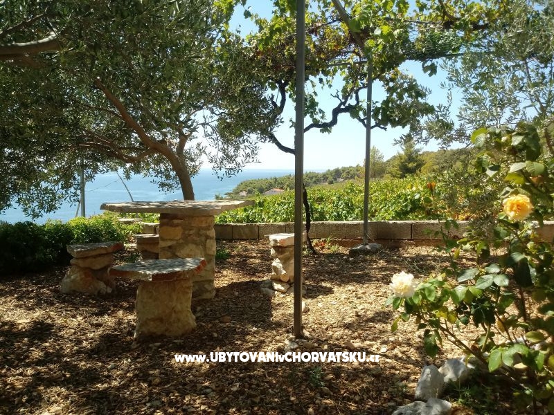 ART AND NATURE  – Ferienwohnung Insel Hvar, Kroatien – Foto 2