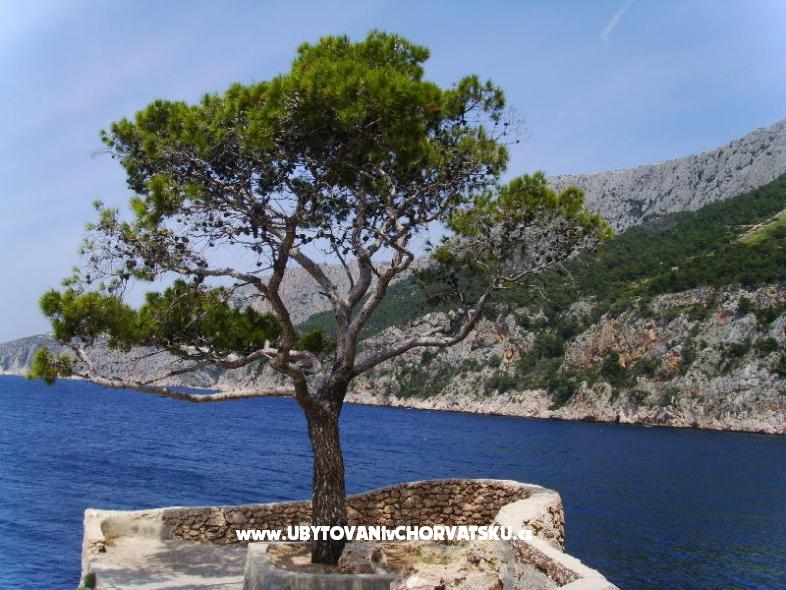 Appartements Anja – Ferienwohnung Insel Hvar, Kroatien – Foto 7