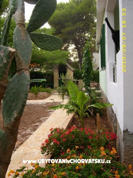 Appartements Antica – Ferienwohnung Insel Hvar, Kroatien – Foto 9