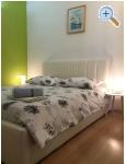Appartements Beli - ostrov Hvar Kroatien