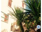 Appartements Beli - ostrov Hvar Kroatien