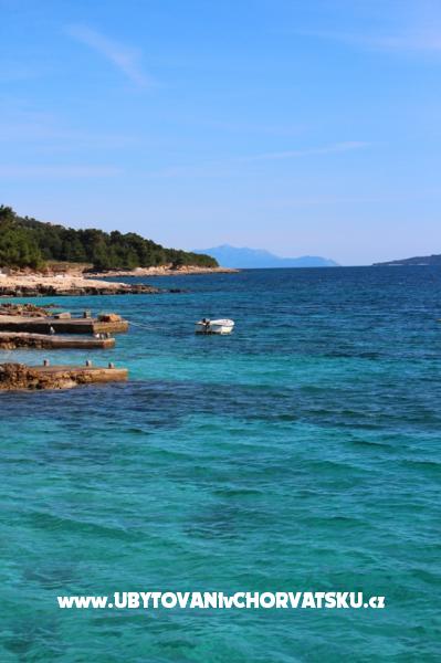 Ferienwohnungen Floris Ivan Dolac – Ferienwohnung Insel Hvar, Kroatien – Foto 14