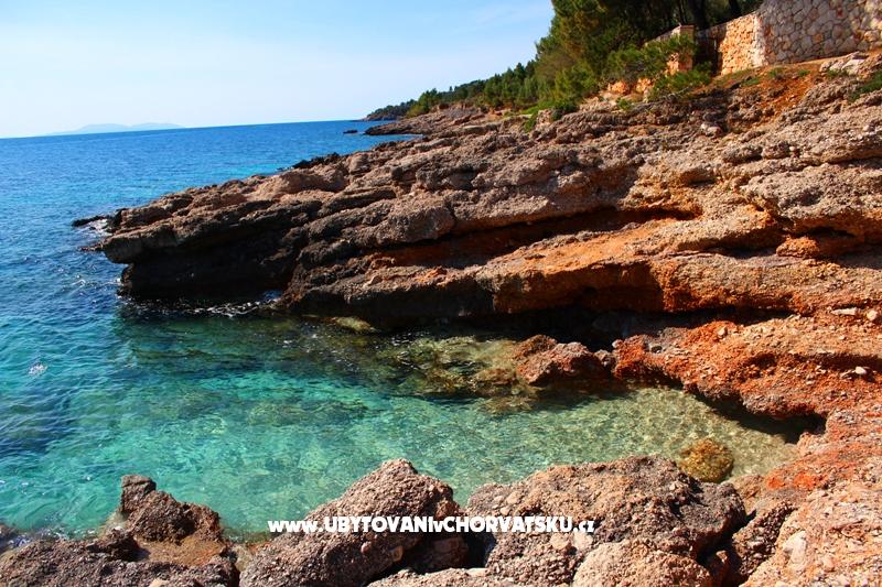 Ferienwohnungen Floris Ivan Dolac – Ferienwohnung Insel Hvar, Kroatien – Foto 4