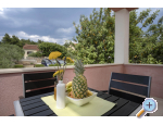 Apartmny Ena - ostrov Hvar Chorvatsko
