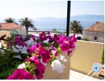 Appartements Jure - ostrov Hvar Kroatien