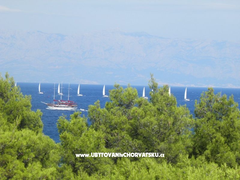 Appartements Martin Reljanović – Ferienwohnung Insel Hvar, Kroatien – Foto 17