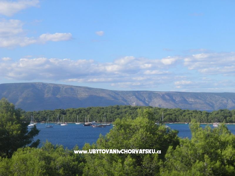 Appartements Martin Reljanović – Ferienwohnung Insel Hvar, Kroatien – Foto 18