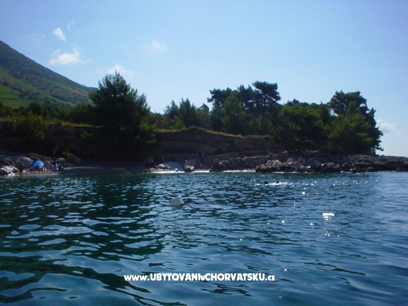 Appartements Radić – Ferienwohnung Insel Hvar, Kroatien – Foto 12