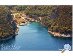 Appartements Roza - ostrov Hvar Kroatien
