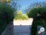 Appartements Stipii - ostrov Hvar Kroatien