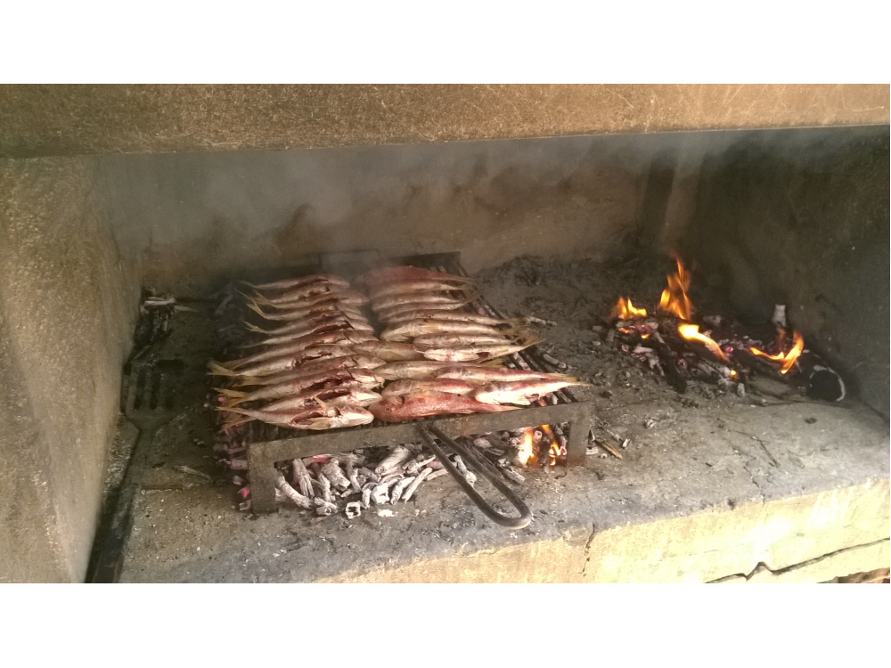 Apartmaji  Mate Slavic - ostrov Hvar Hrva�ka