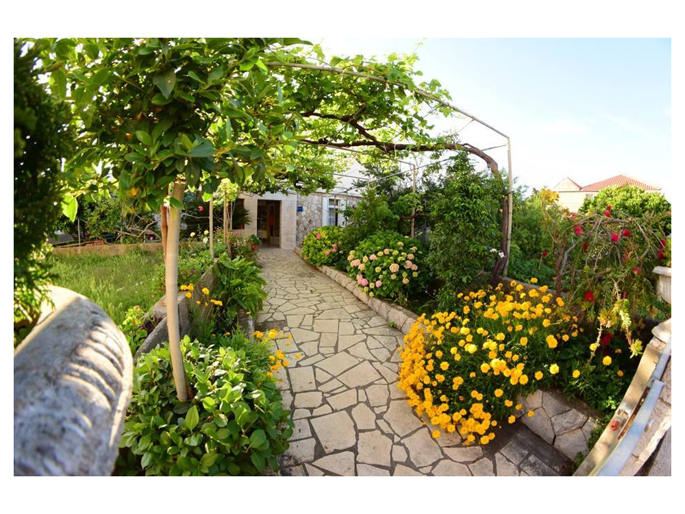 Apartmaji  Mate Slavic - ostrov Hvar Hrva�ka