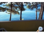 Apartmaji Arpina - ostrov Hvar Hrvaka
