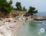 Appartements Arpina - ostrov Hvar Croatie