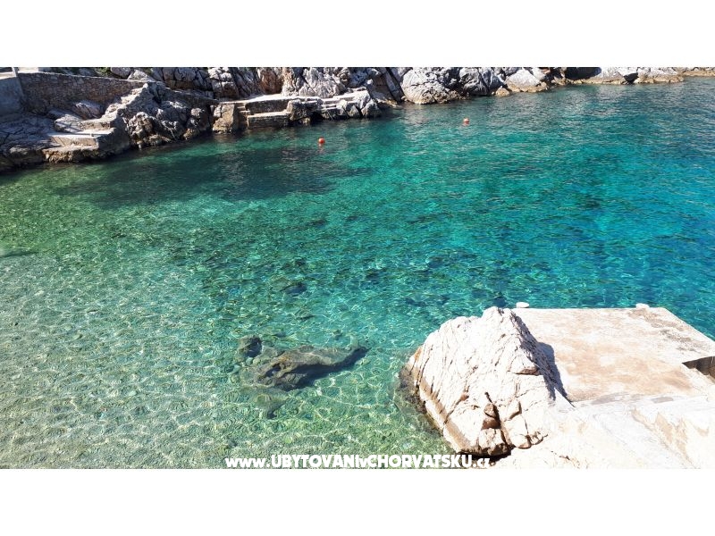 Ferienwohnungen Smiljanka – Ferienwohnung Insel Hvar, Kroatien – Foto 15