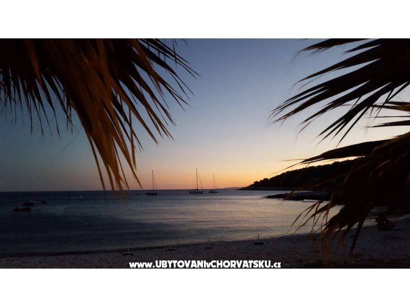 Appartement Smokva - Villa Tudor – Ferienwohnung Insel Hvar, Kroatien – Foto 12