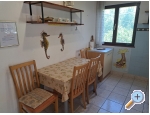 Ferienwohnungen Bogovi - ostrov Hvar Kroatien