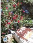 Appartements Bogovi - ostrov Hvar Croatie