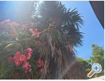 Appartements Bogovi - ostrov Hvar Croatie