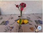 Appartements Bogovi - ostrov Hvar Croatie