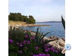 Sea View Adriatic Blu - ostrov Hvar Croatie